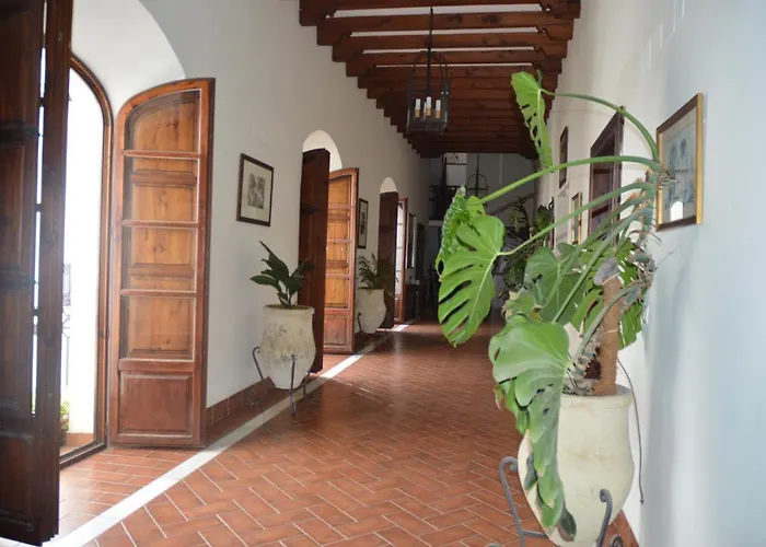 Cordoba Cool Vailima 2